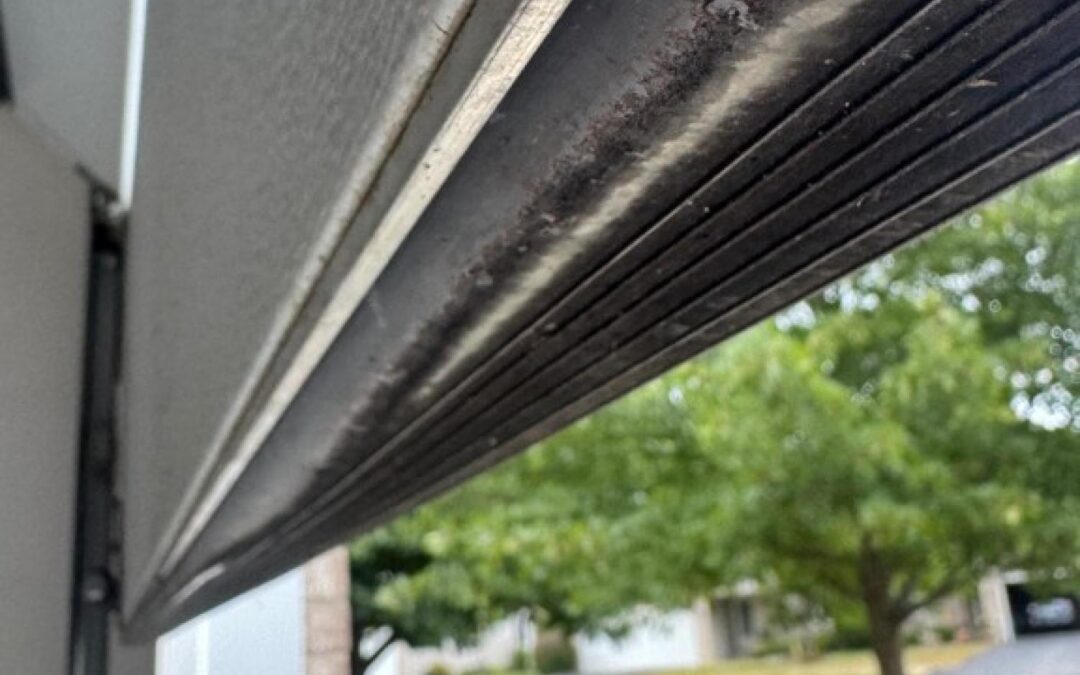 Garage Door Service Johnson St, Stoughton, WI