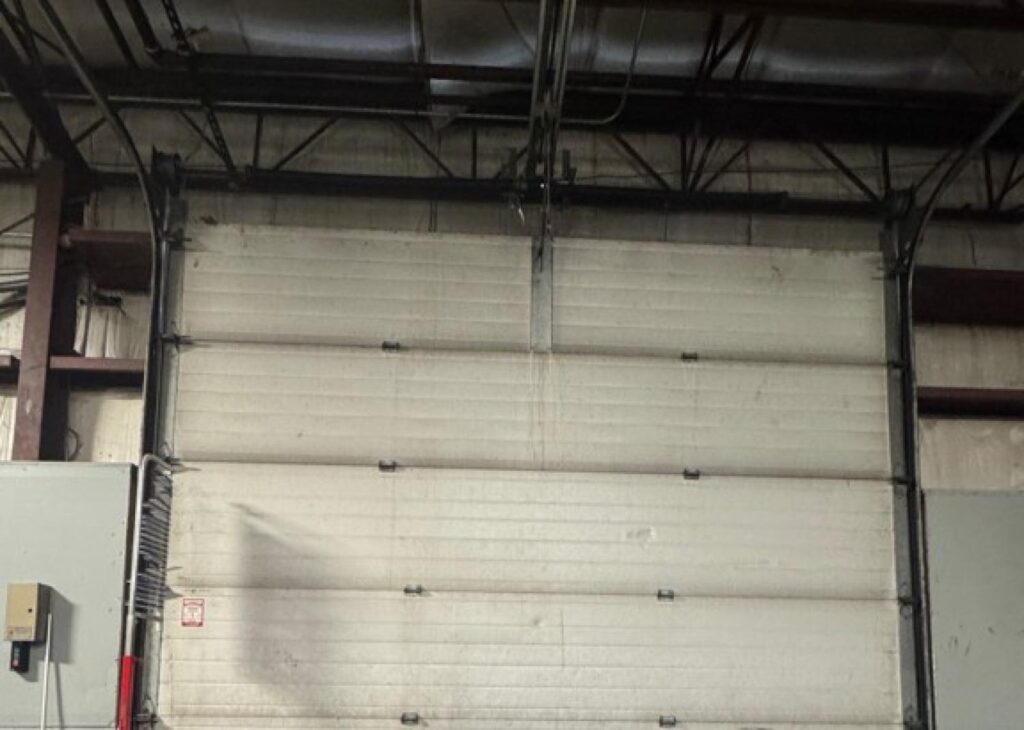 Project View 5