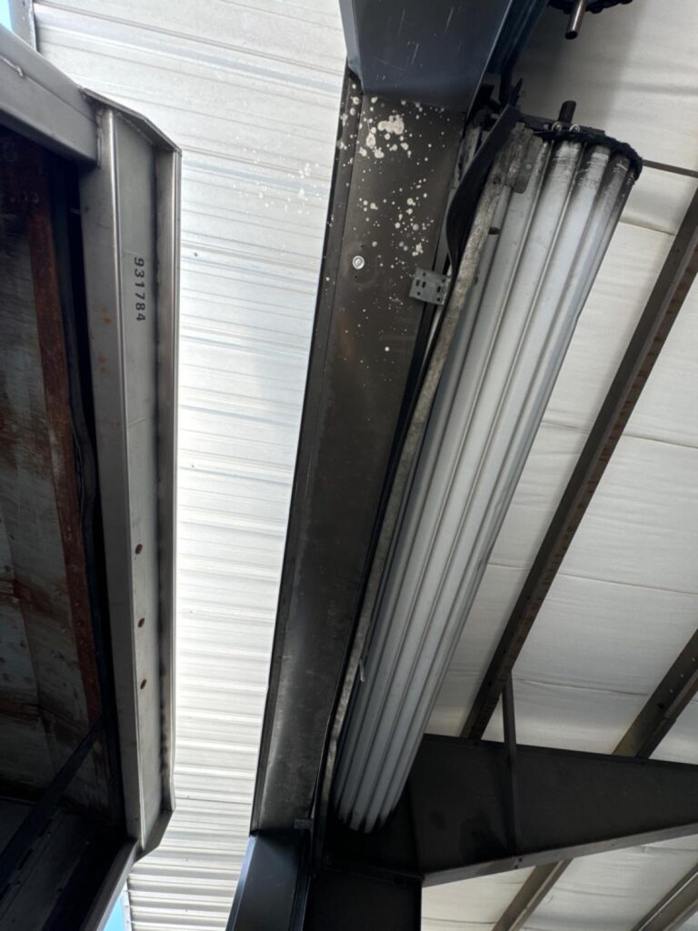 Project View 6