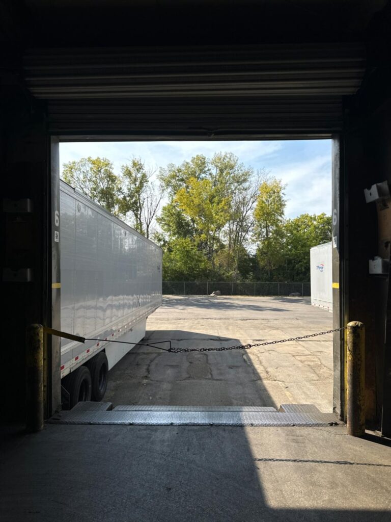Project View 8