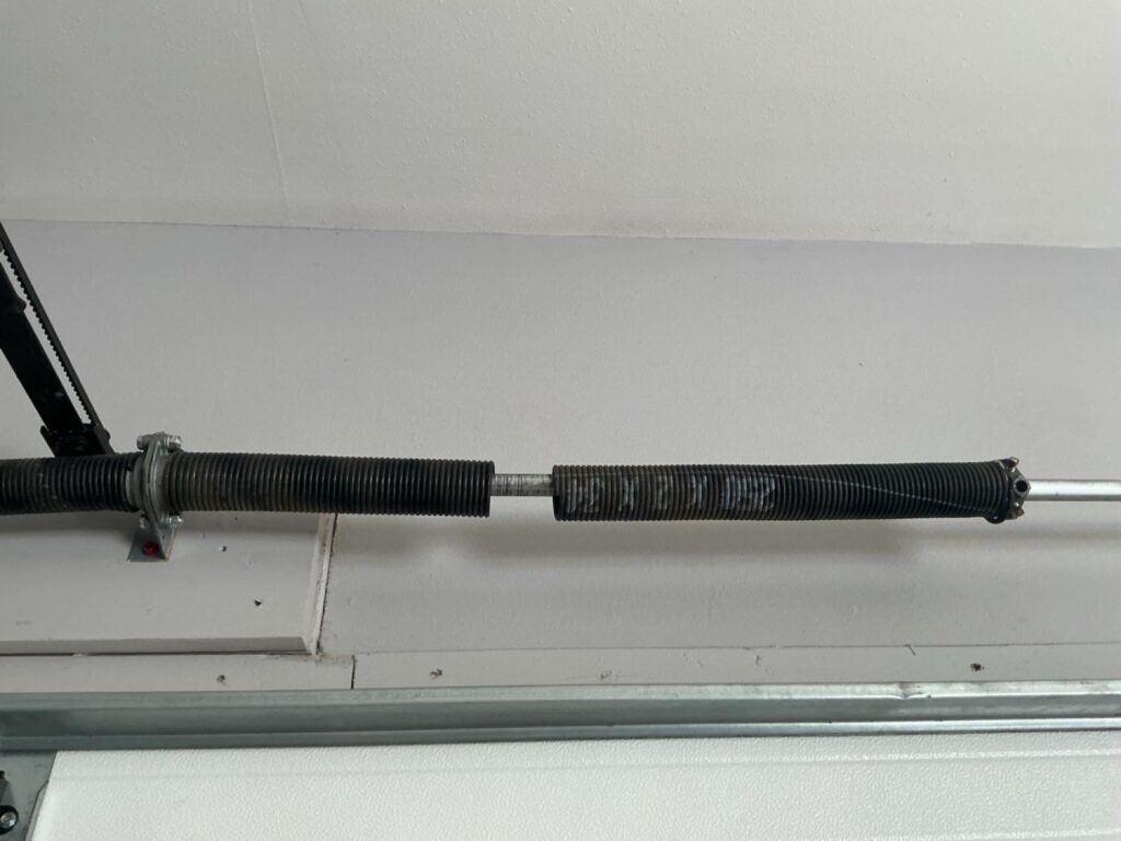 Project View 5