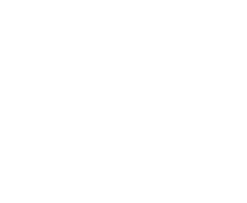 Emergency garage door repair icon